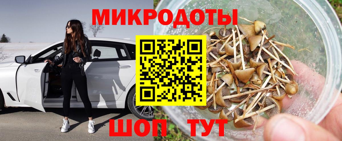 Ейск  Галлюциногенные грибы MAGIC MUSHROOMS  наркота  Вход с VPN 